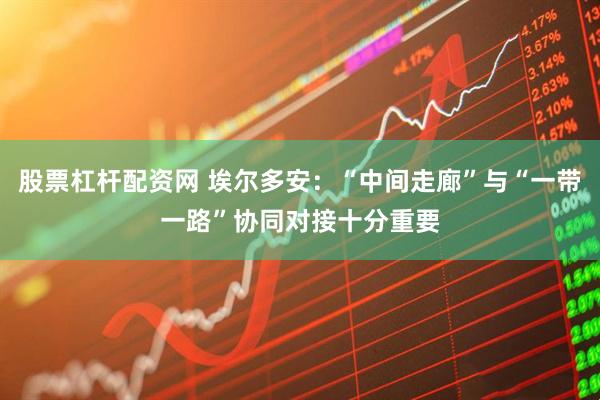 股票杠杆配资网 埃尔多安：“中间走廊”与“一带一路”协同对接十分重要